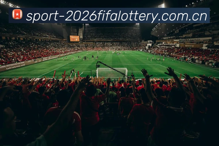 FIFA官方彩票数据授权证书